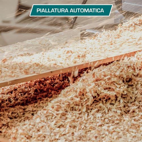 Pialla da Banco da 1500W - Industrial