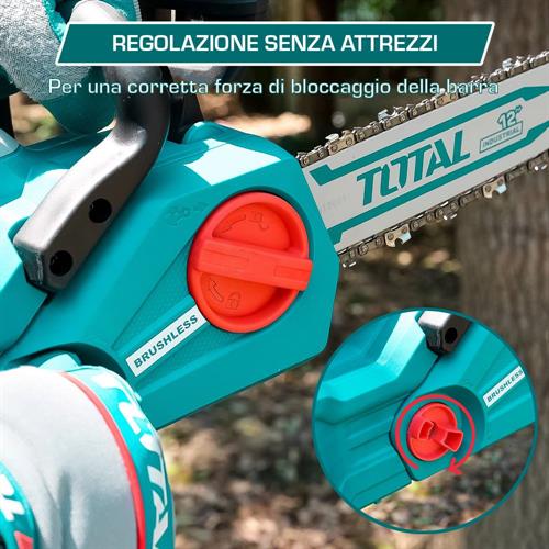 Motosega a Batteria 20V 12 (30cm) con 2 Batterie 4Ah