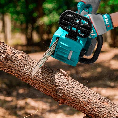 Motosega a Batteria 20V 12 (30cm) con 2 Batterie 4Ah