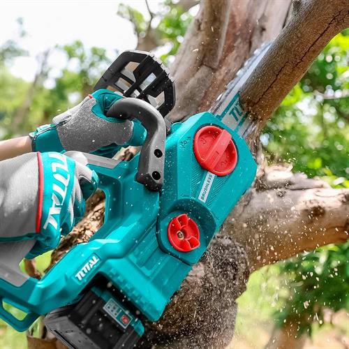 Motosega a Batteria 20V 12 (30cm) con 2 Batterie 4Ah