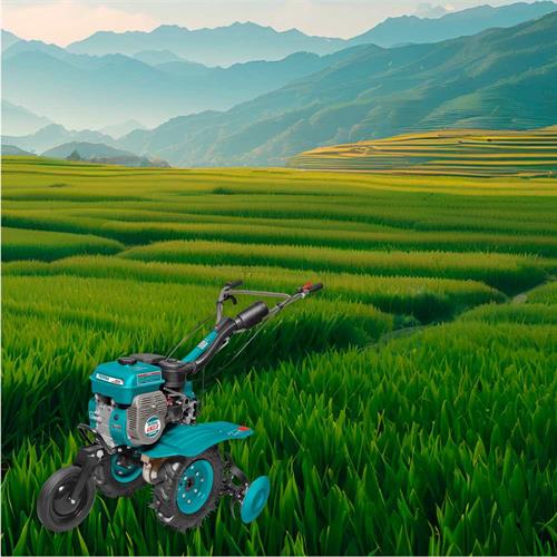 Motozappa da 6,5HP - Industrial